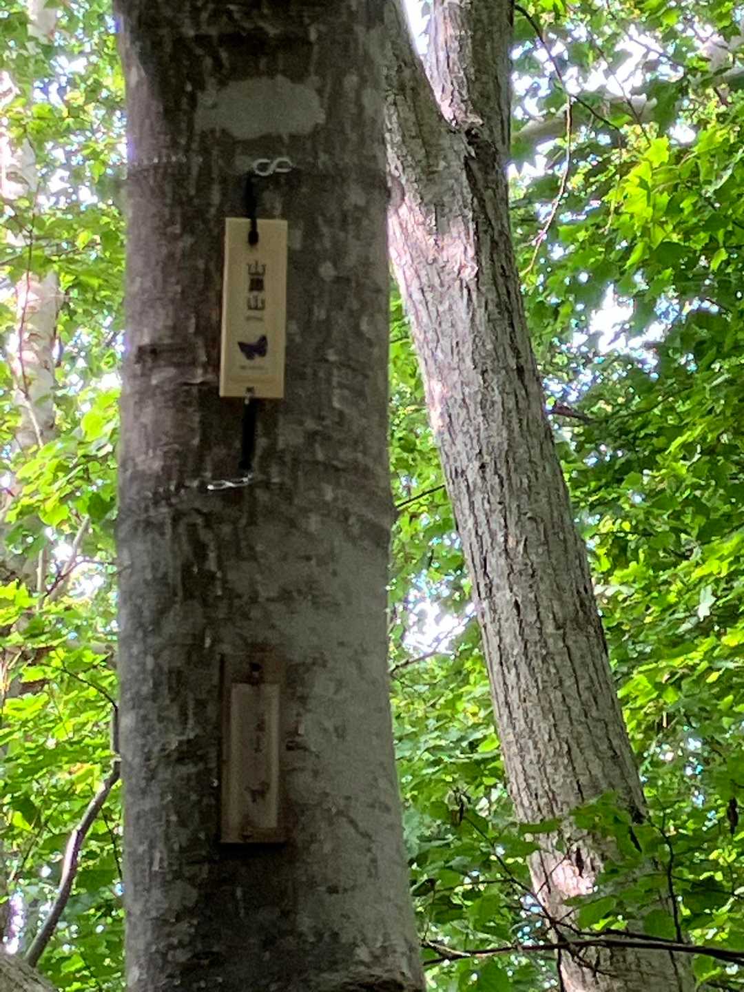 あった！山鼻山の標識
本当に小さい🌀
