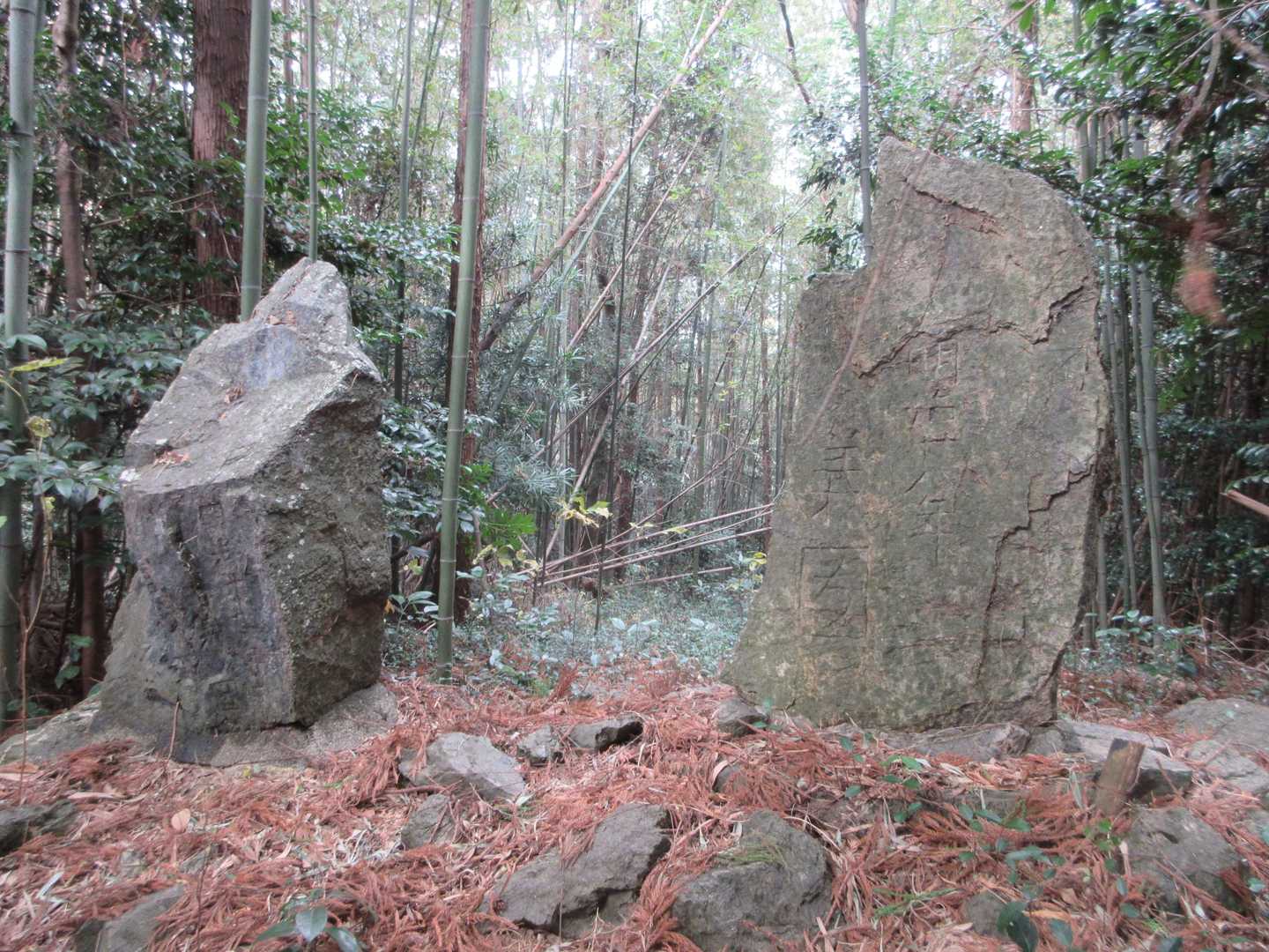 山頂らしき場所に石碑‼️
真ん中奥を下って行くと楽かも⁉️
