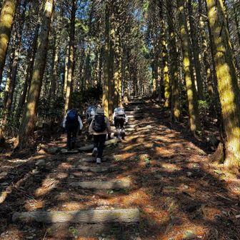 急登だけど、少しの距離でした