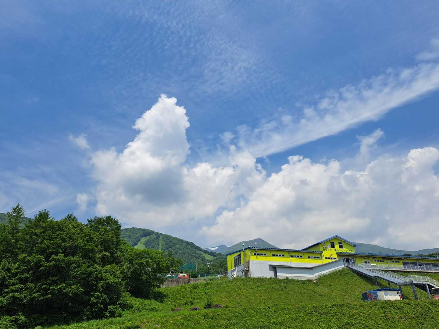 この場所に立つ度にあのお二人を思い出します、今はフォローの関係にはありませんが、花の博士の如く花が好きなんだろうな