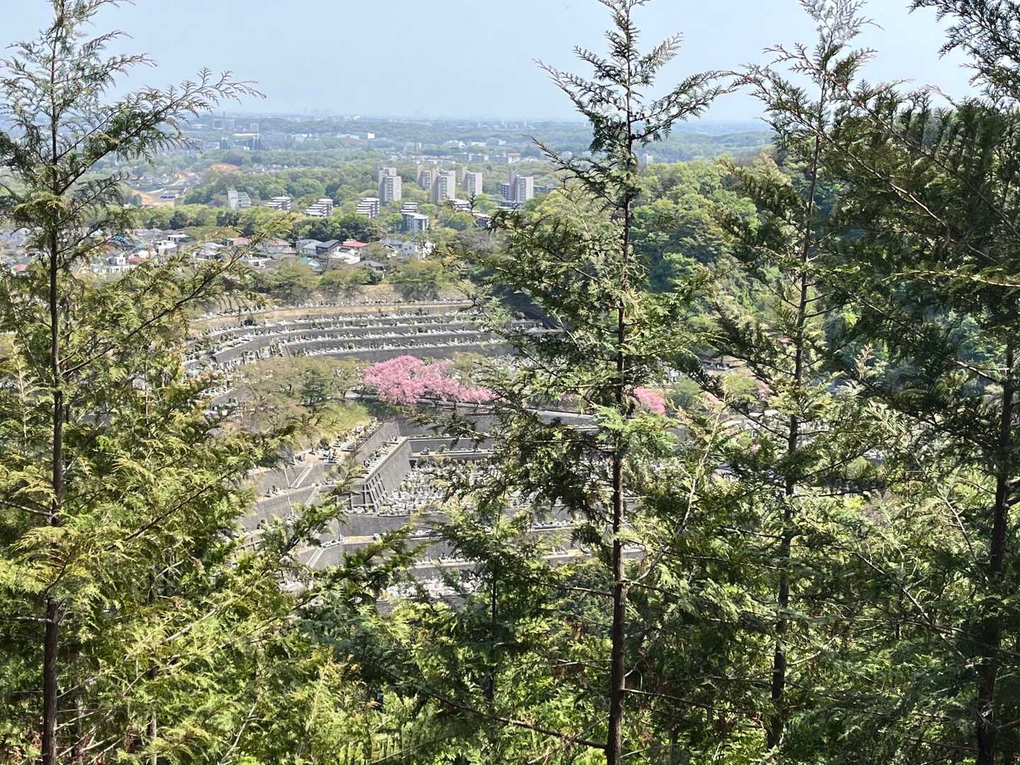 高尾山口駅-こんぴら山 縦走コースの写真