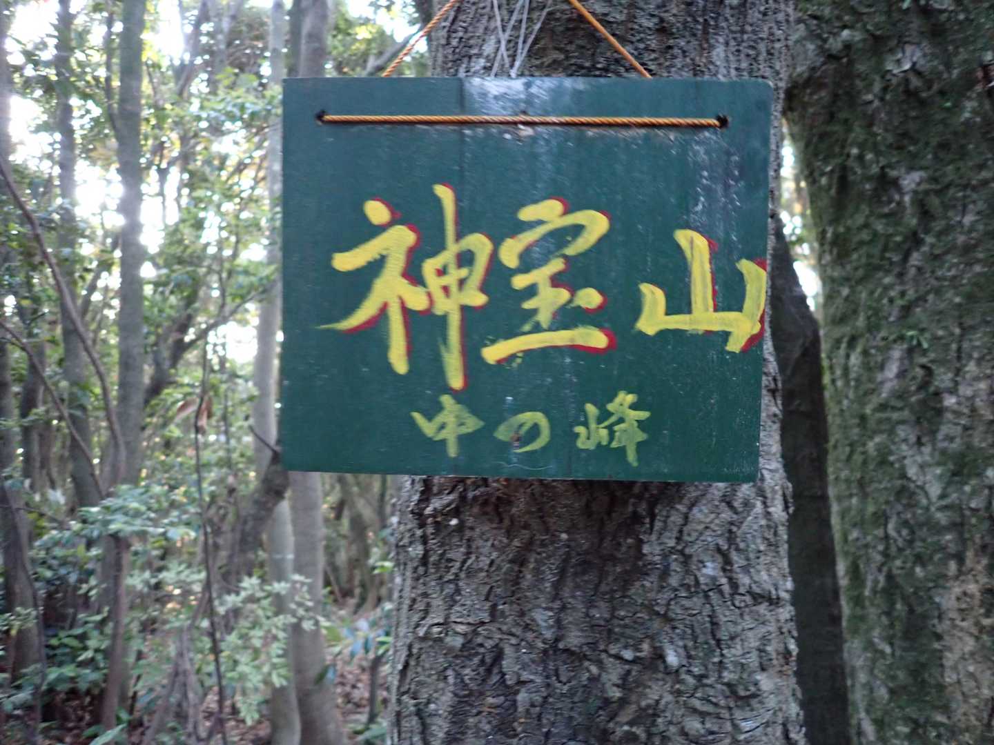 🚩中の峰