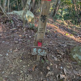 なんちゃって山頂2
