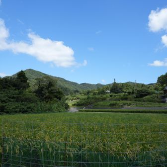 帝釈山かな？