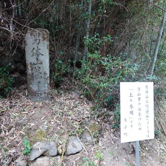 男体山健脚コースと刻まれた石碑を通過していく