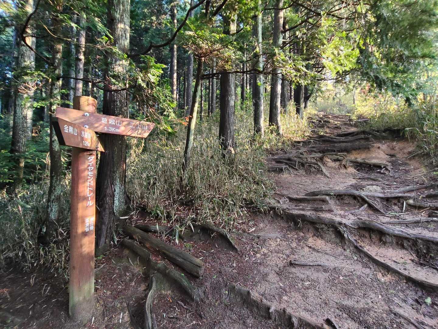 水越峠バス停-水越峠-葛城山 往復コースの写真