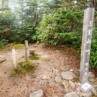 眺望なんて無くても、あんたはいいお山だよ！

ちなみに、三角点がある場所は厳密には長野県らしい😭