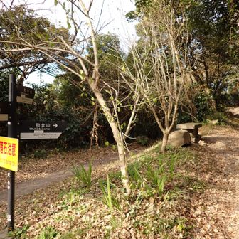 砲台方面にまずいく