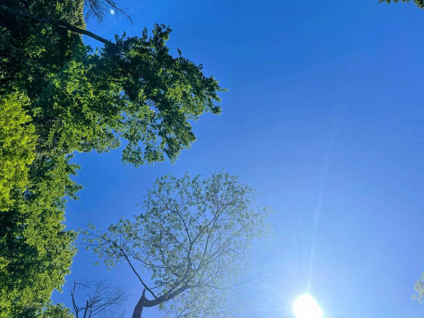 上空が開けると青空が🟦