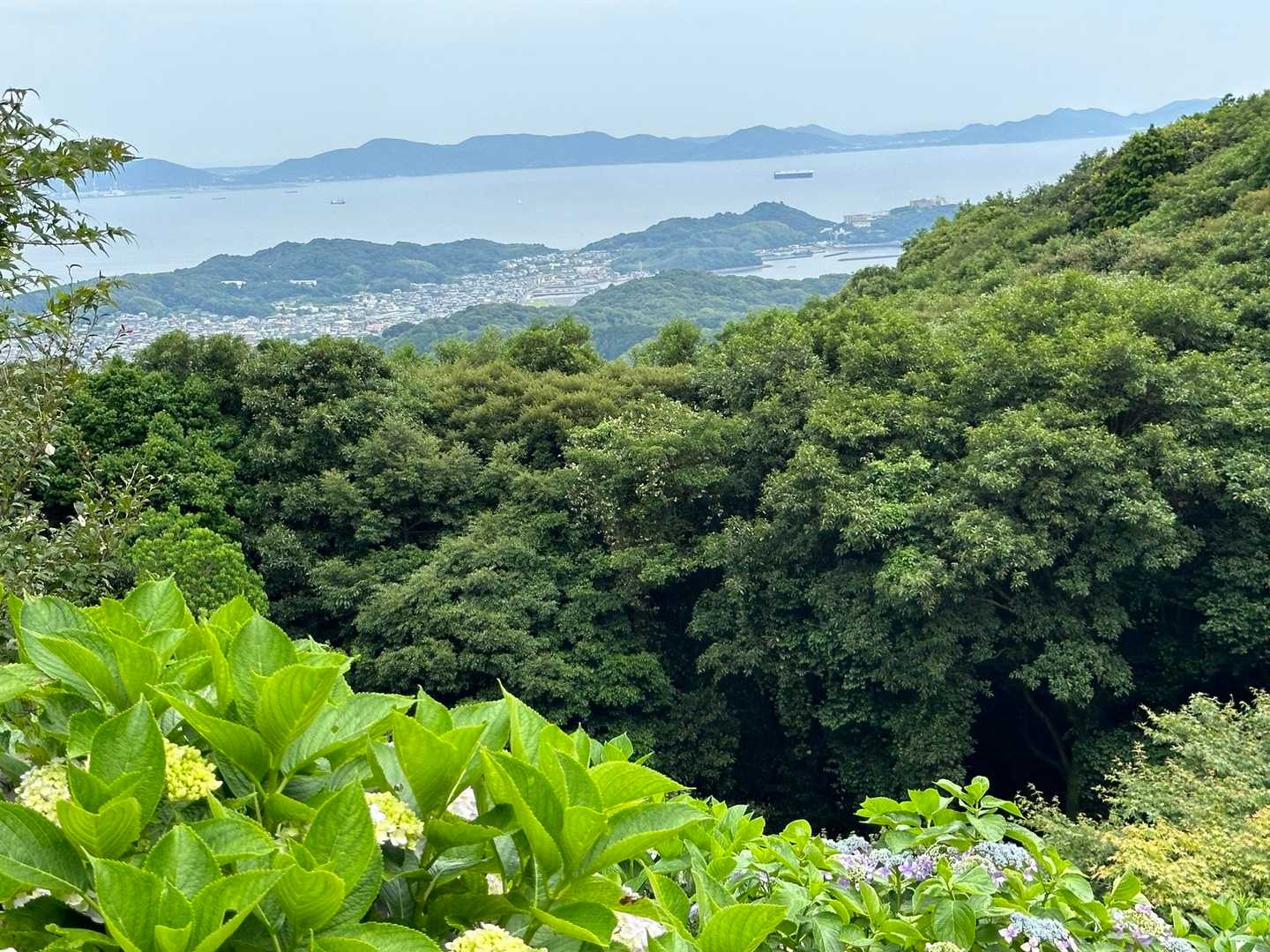 三ヶ根山-三ヶ根山最高点 往復コースの写真