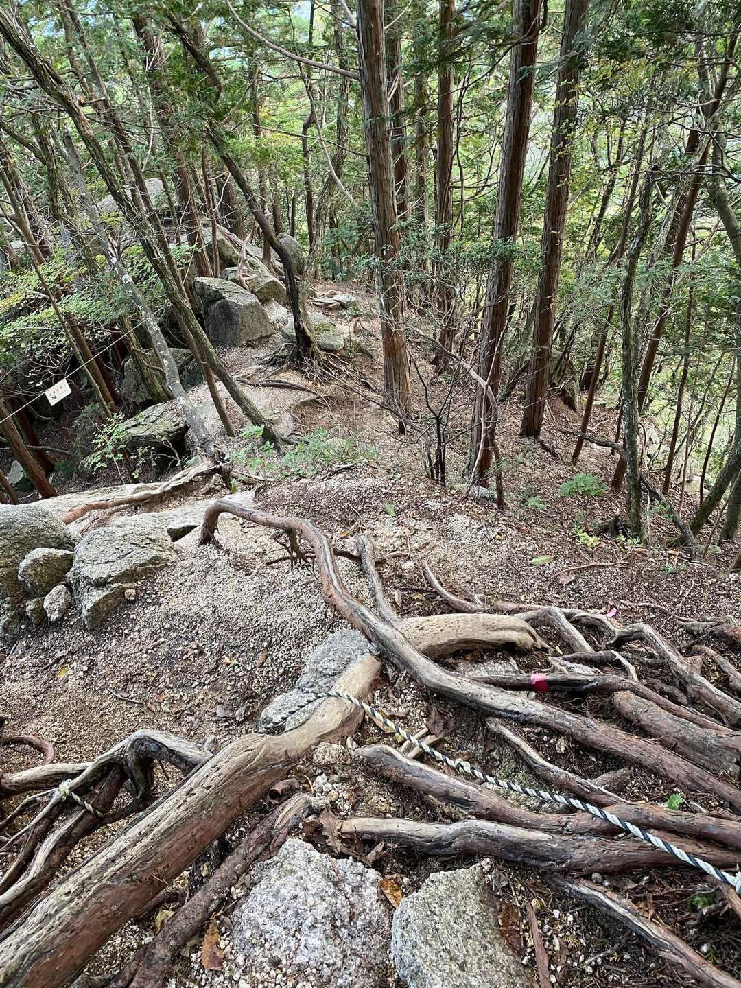 思ったより道が乾いてよかったですが、一ノ谷新道なかなかの斜度😰ロープや根っこにつかまって慎重に下ります💦