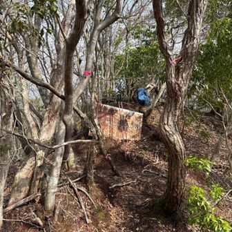 ニセ日本ヶ塚山スルーしてた💦