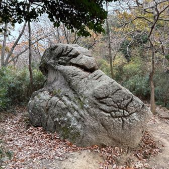 ただいま、蛙岩