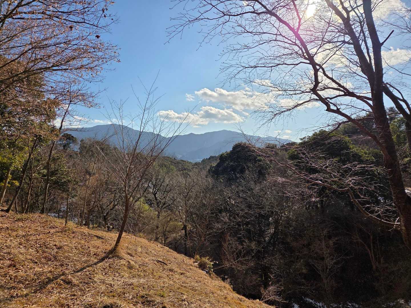 快適ルート