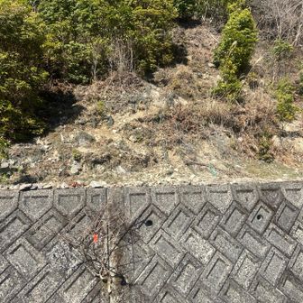 こっちから降りてみた。小さい目印がある。