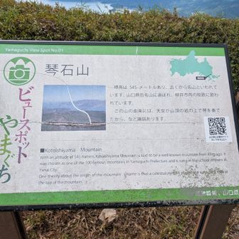 天女が琴を弾いてたみたい‼️☺️