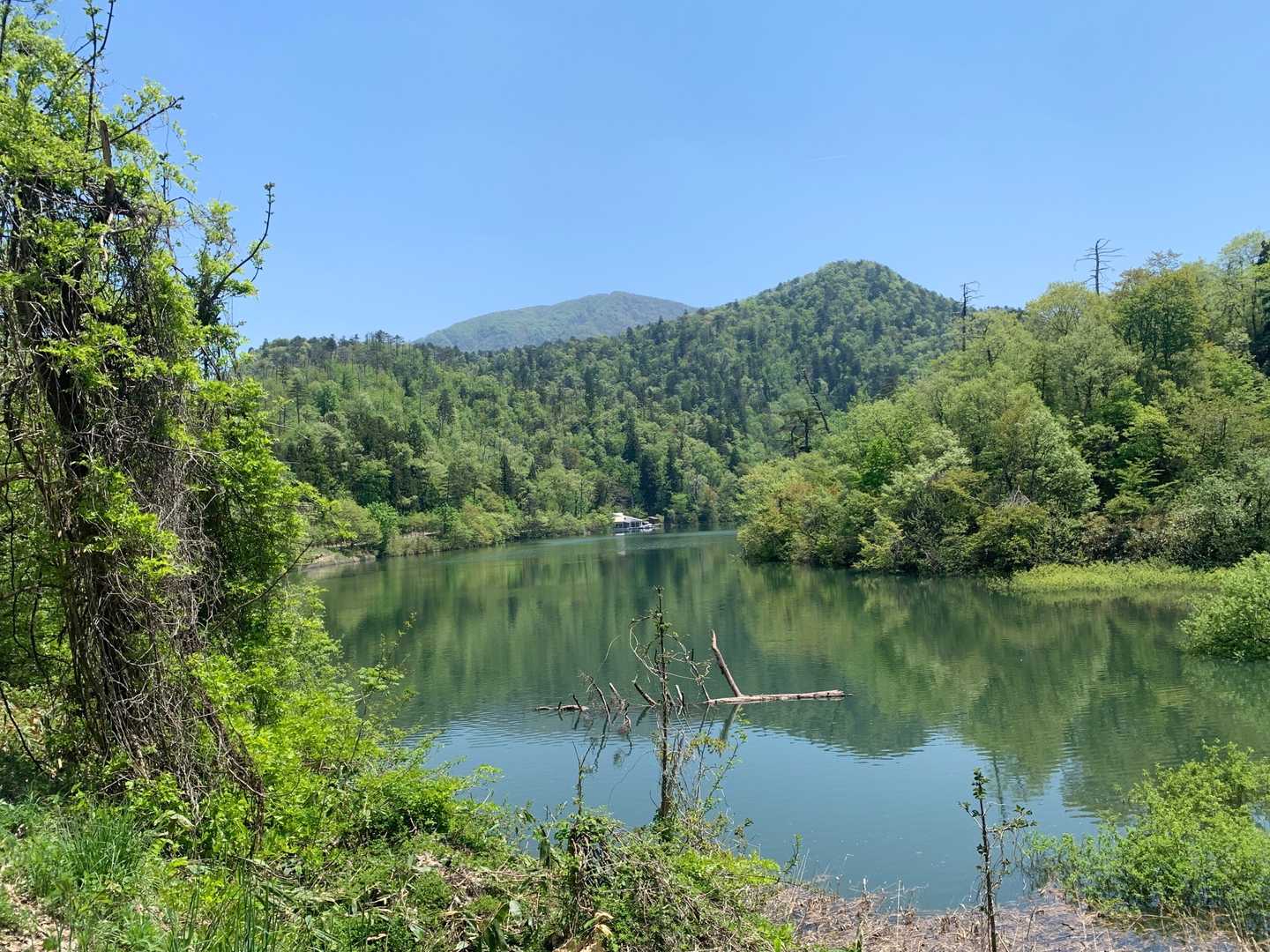 手前が鷹返山、奥は甑岳。