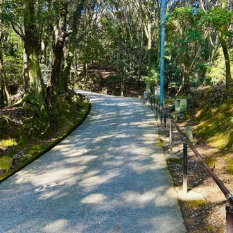 始まりからいきなり舗装急登😣
お寺まで手すり使いながら😭
まだ登山口に達してないのに今日イチしんどかったかもしれん🤷‍♂️