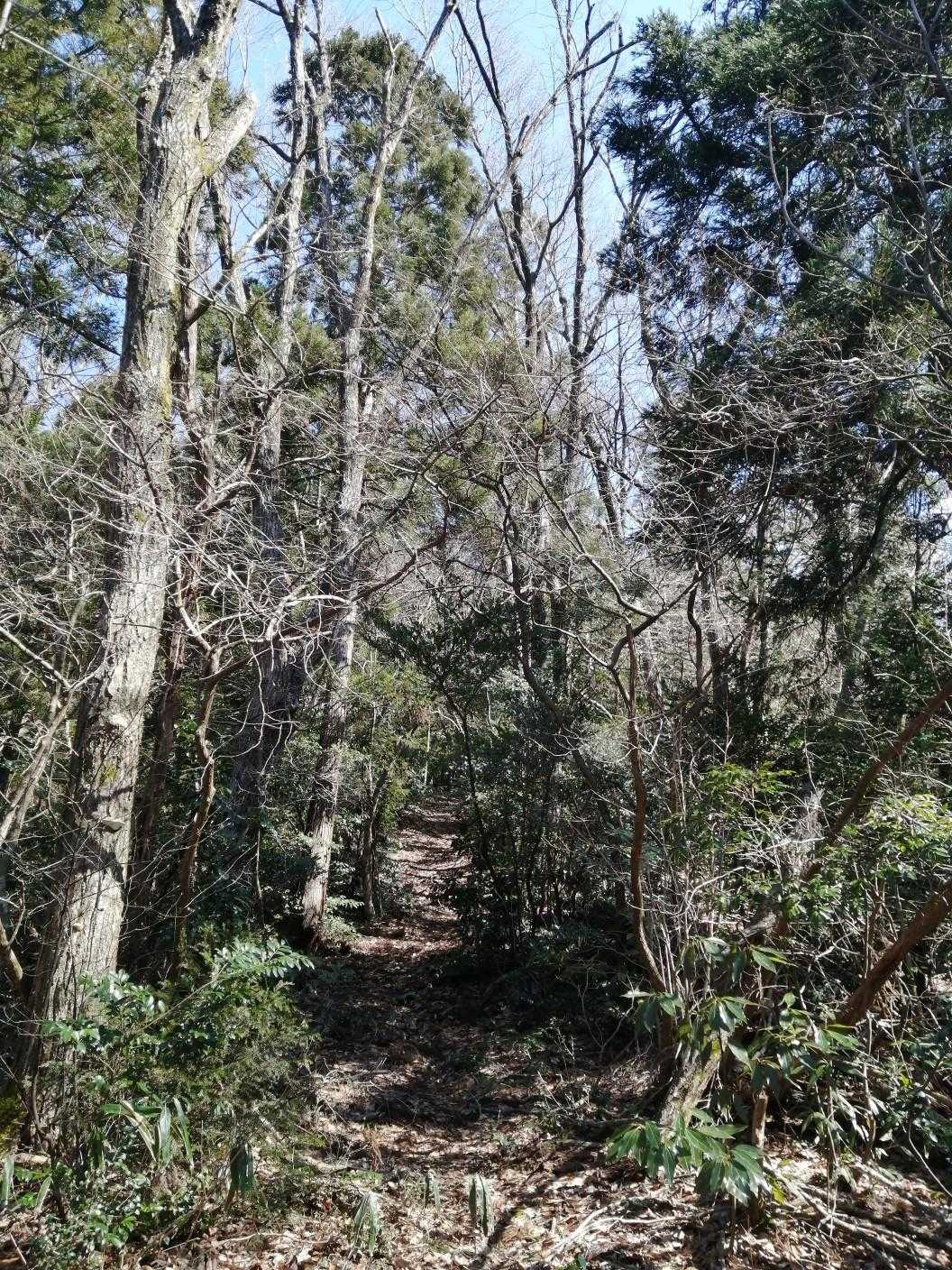 急な坂ですよ🚶‍♀️