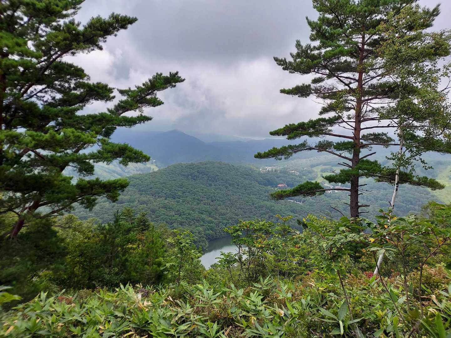 旭山 往復コースの写真