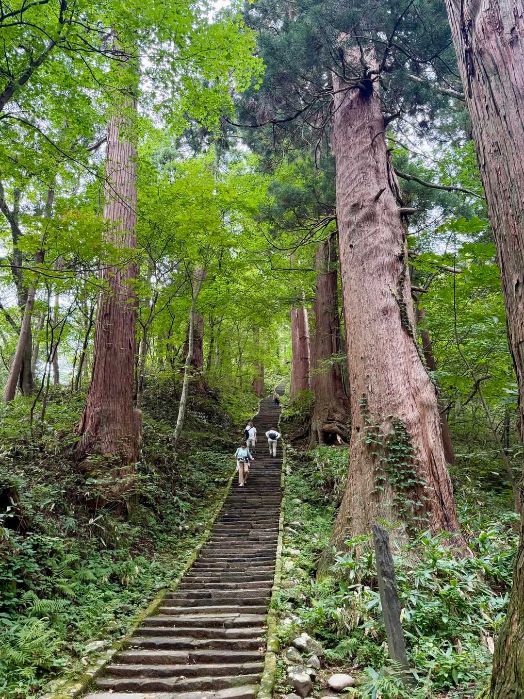 羽黒山登山口-羽黒随神門バス停-羽黒山 五重塔-休憩所-出 周回コースの写真