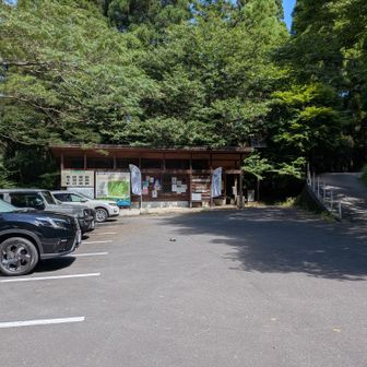 駐車場、日曜日は、ほぼ満車状態でした。