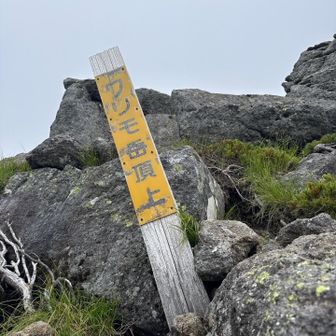 さらに上があり、台地状になってるらしいです（水晶岳の山頂付近でお会いした方曰く）