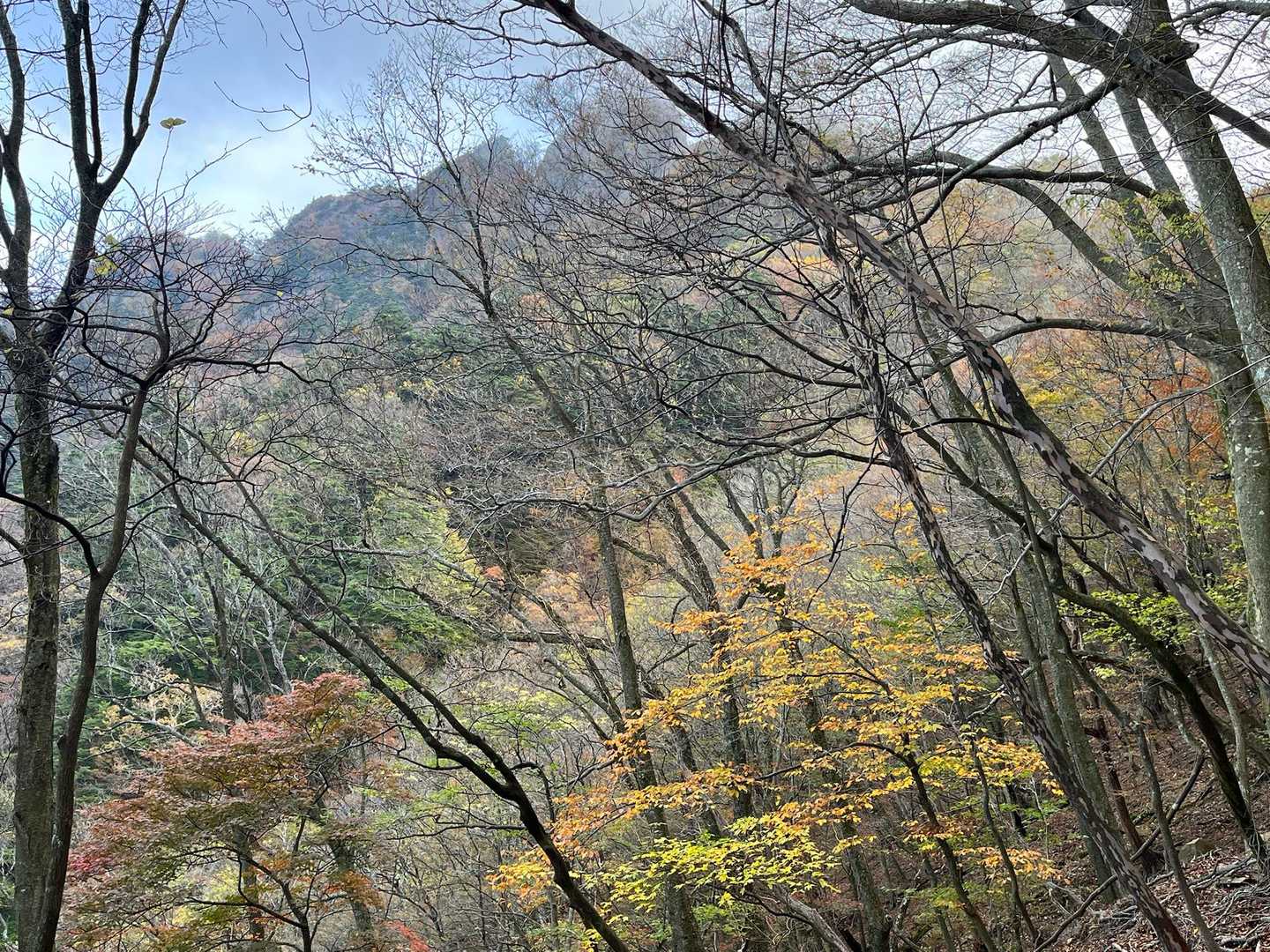 八丁越-大障子岩 往復コースの写真