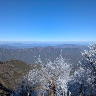 樹氷越しの四国の山々