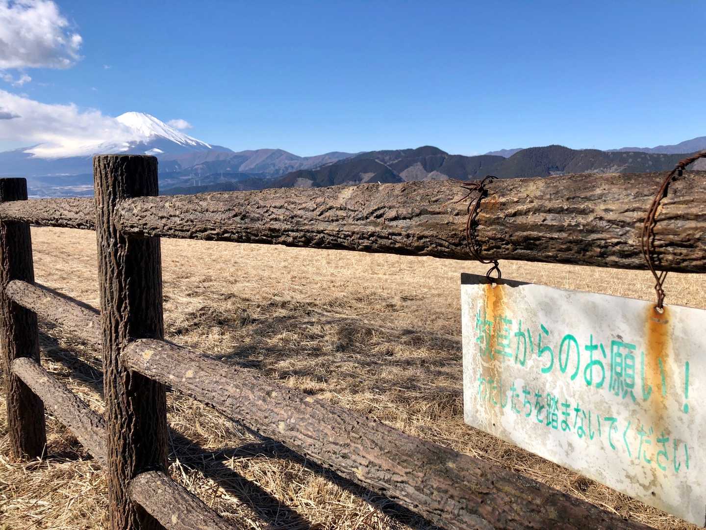 大野山 往復コースの写真