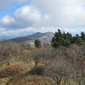 滝山から那岐山はイマイチ