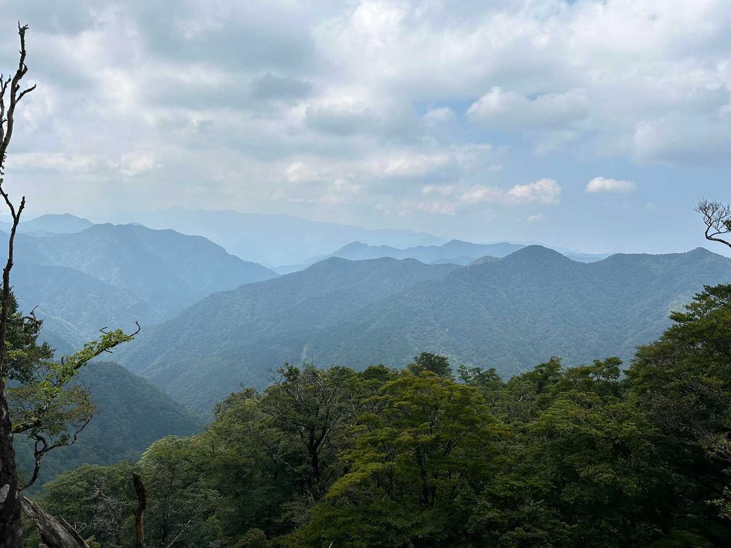 やっぱお山は癒されるなぁ