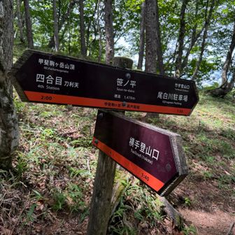 笹ノ平分岐まで下ってきました。
まだまだあるぞー