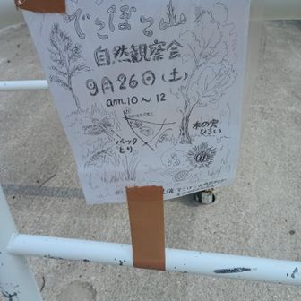デコポコ山で、イベントがあるんだって