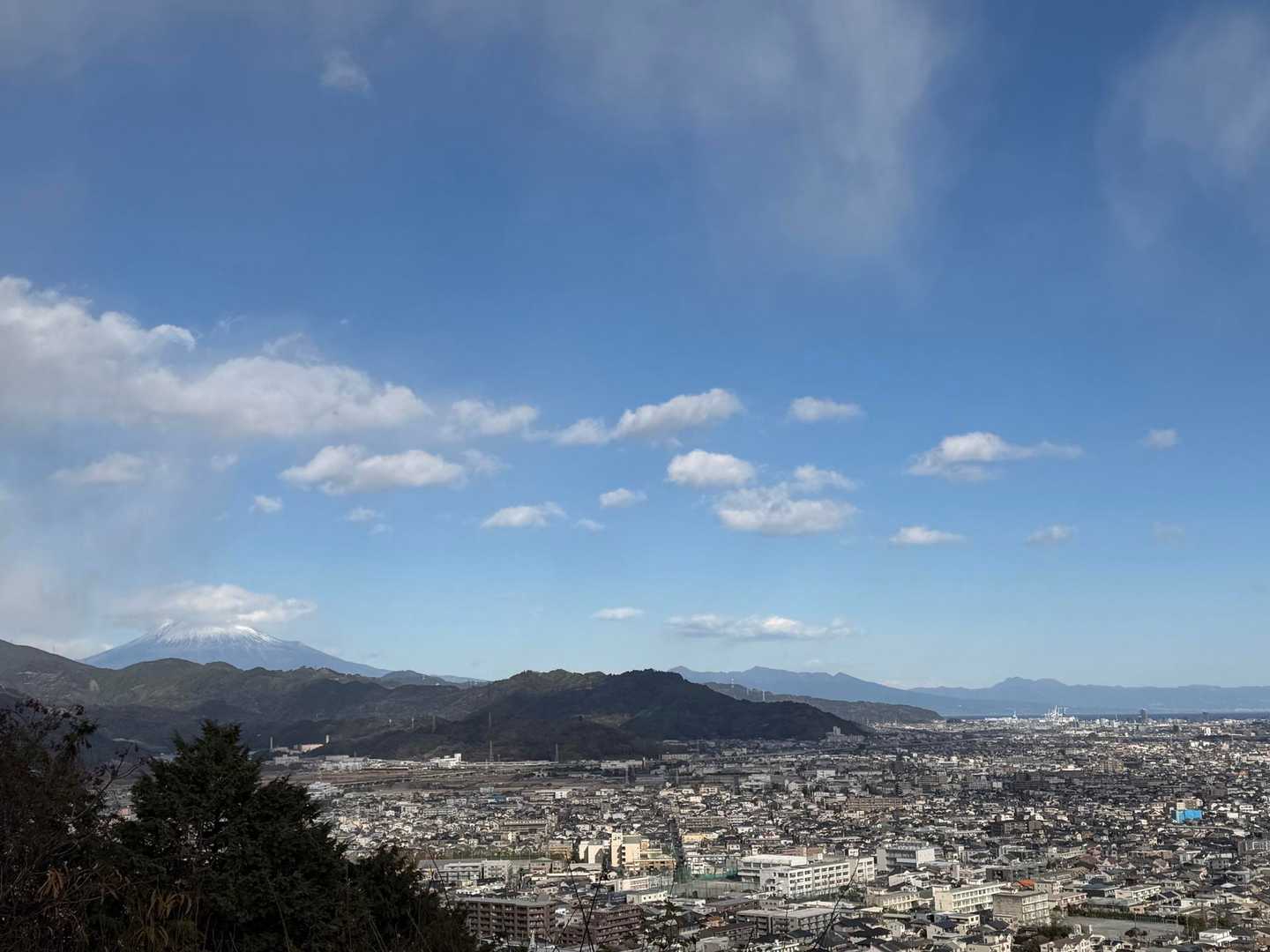富士山
愛鷹山
神山