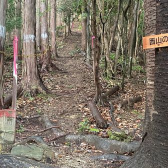 西山の坂入口。