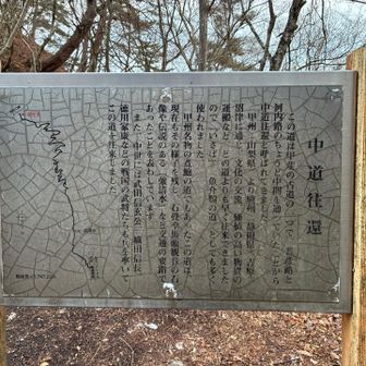 ﾌﾑ(( ˘ω ˘ *))ﾌﾑ