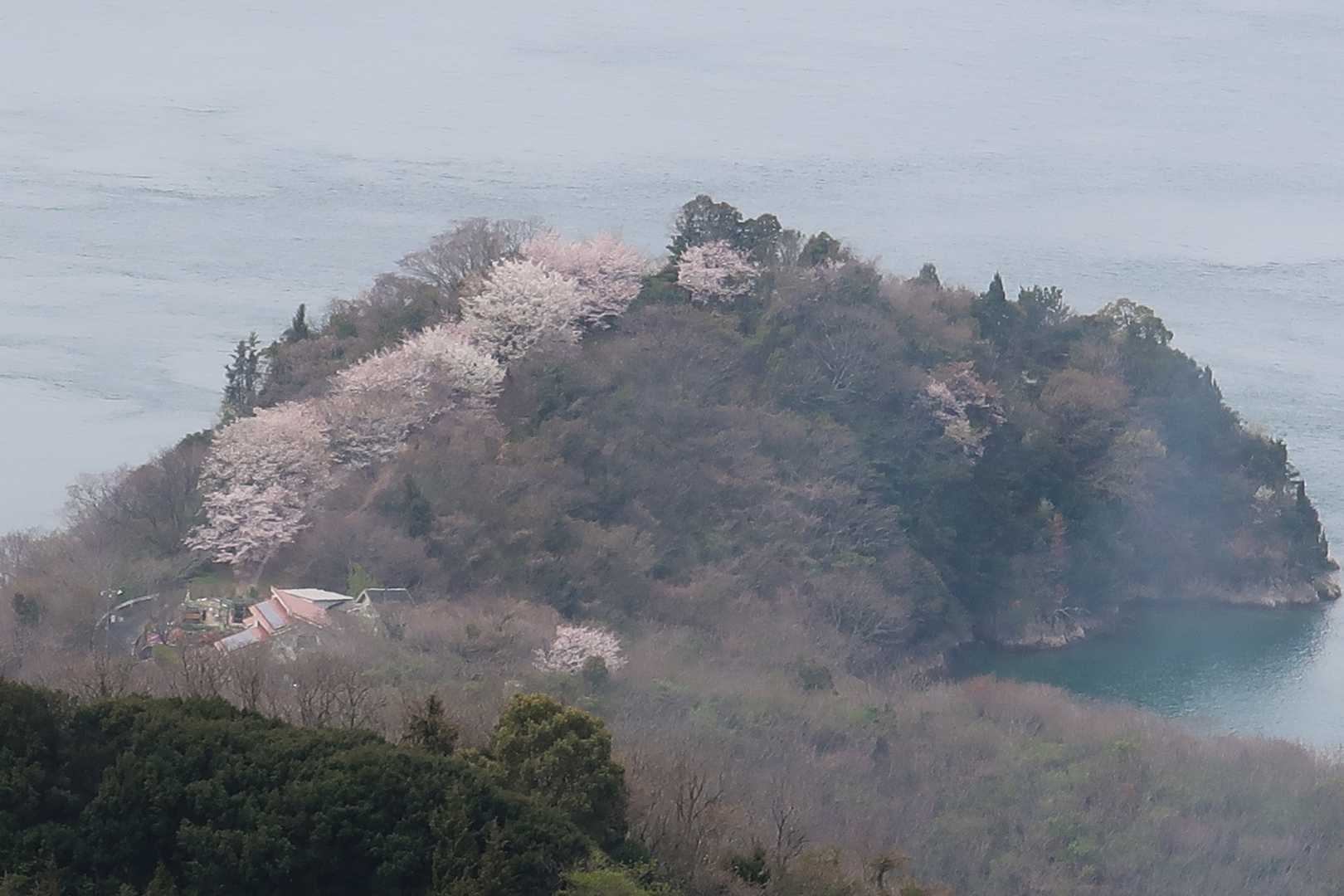 小佐木島かな🤗
