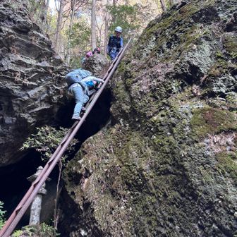 はしごを降りると祠があります。
ここからは林道になります