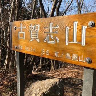 のぶりん@なめこ