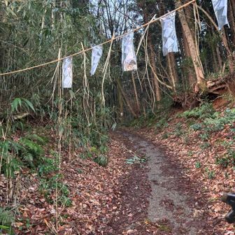 結構汗びっしょりで🏁
山の上は気温高めの3℃。
運動不足、ほんの少し解消😭