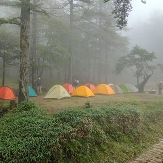 キャンプサイトは山の会の独占ソロテント村状態