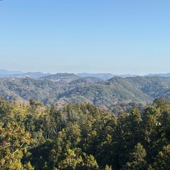 よーい眺めでーす