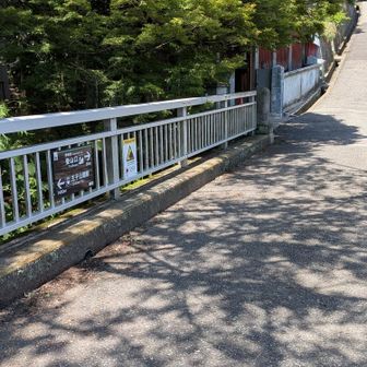 青谷道登山口から〜🫈