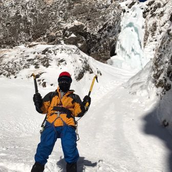 ツシマヤマネコ