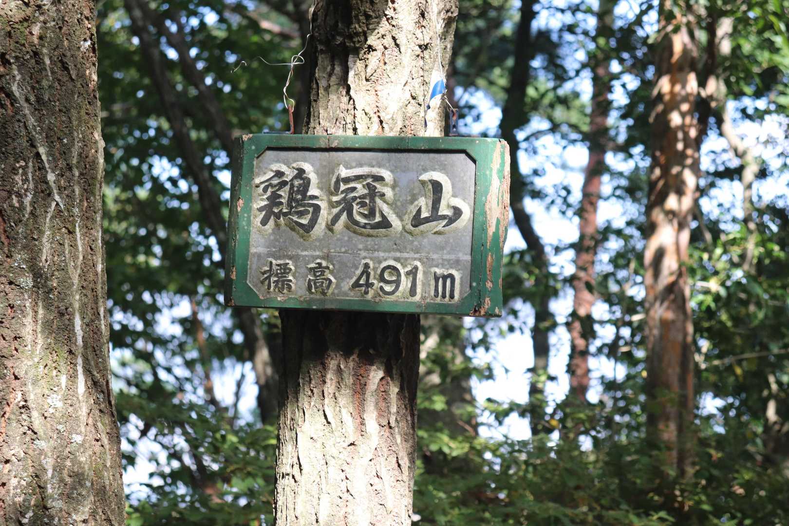 竜王山-天狗岩-鶏冠山 往復コースの写真