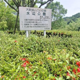 水辺公園🏞無事到着︎🌟おつかれ山✨
