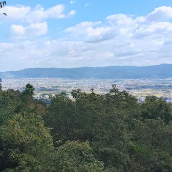 気を取り直して、国見台から奈良盆地を見渡す。
来てよかった！