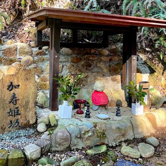 加寿（かす）の由来は、酒カスが好きなお姫様だったみたいです。