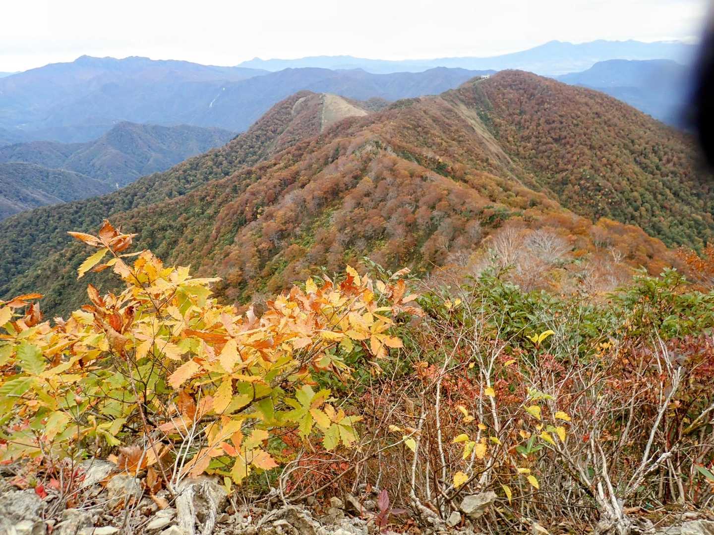天神尾根コースの写真